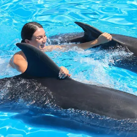 Our House In Clube アパート *